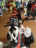 Brussel - Interessante vennootschap