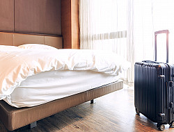 Izegem - Kamerverhuur / Horeca uitbating